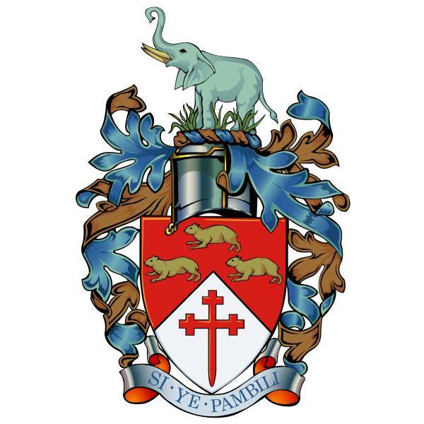Bulawayo City Council Logo