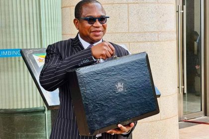 Finance Minister Mthuli Ncube