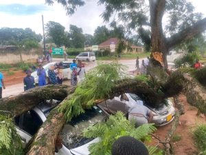 Chipinge town rain dandaro.online 