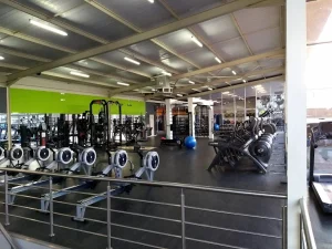 Harare gym dandaro.online 