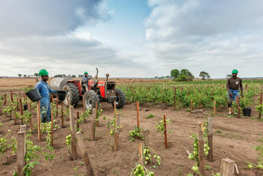 Farmers