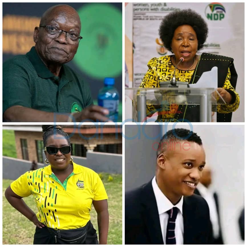 The Zuma family