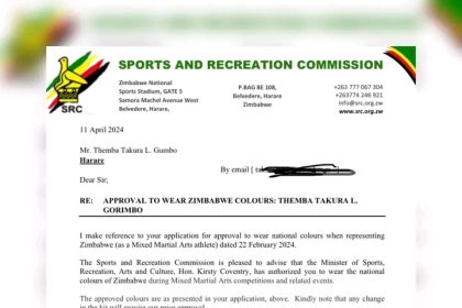 Themba Gorimbo approval letter